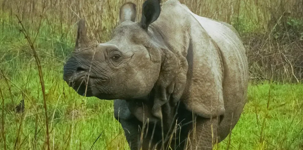 33721cd5849d7b55304638b0601b67298d0b31ef