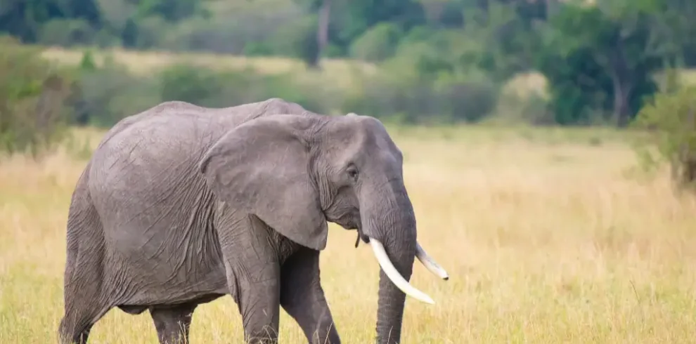 56789f53ec7709921d6174f0836909c8dac1e6c4