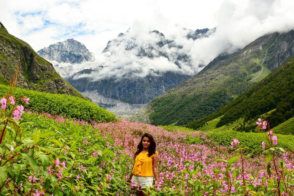 vibrant landscape of the alpine meadows showing the best time to visit Valley of Flowers in Uttarakhand.